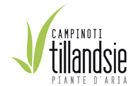 Campinoti Leonardo