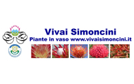 Soc. Agr. Vivai Simoncini