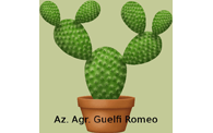 Az. Agricola Guelfi Romeo Benito | Naturalitas 2015