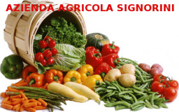 Azienda Agricola Signorini | Naturalitas 2015