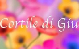 Il cortile di Giulia | Naturalitas 2015