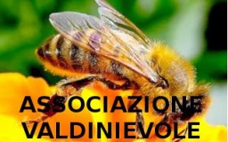 Associazione Valdinievole Apicoltori | Naturalitas 2015