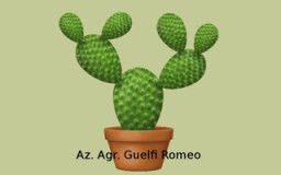 Az. Agr. Guelfi Romeo Benito