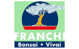 Franchi Bonsai