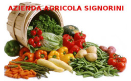 AZIENDA AGRICOLA SIGNORINI di SIGNORINI MAURIZIO