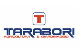 Tarabori